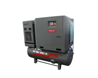 Винтовой компрессор Dalgakiran INVERSYS PLUS 7-7-250