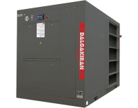 Винтовой компрессор Dalgakiran DVK D 220-13 ID (с осушителем)